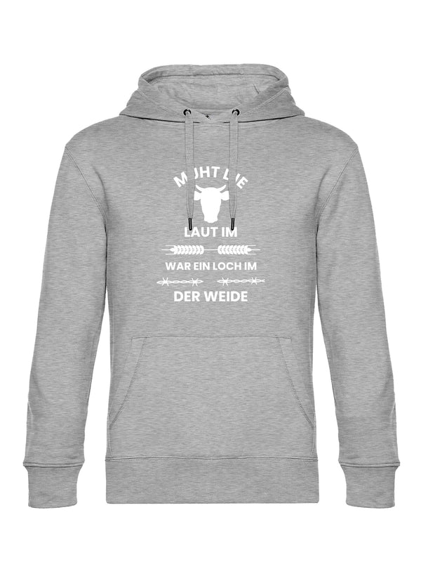 Loch im Zaun | Herren Hoodie